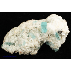 Aquamarine ( Beryl ) with Columbite / Niobite , on Albite Feldspar